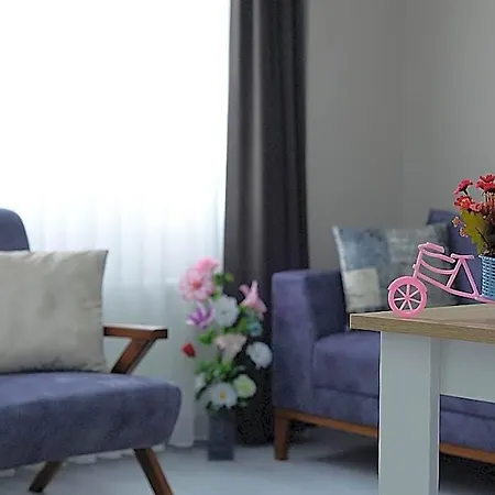 City59 Hotel 4*